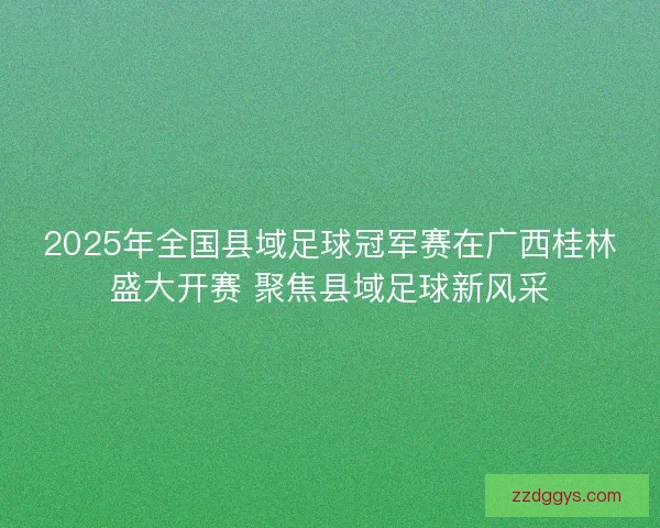 2025年全国县域足球冠军赛在广西桂林盛大开赛 聚焦县域足球新风采