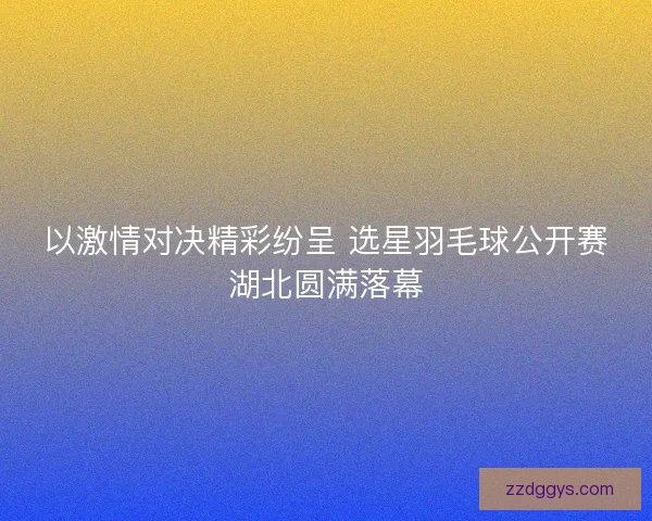 以激情对决精彩纷呈 选星羽毛球公开赛湖北圆满落幕